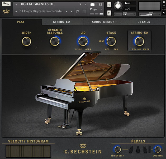 bechstein side