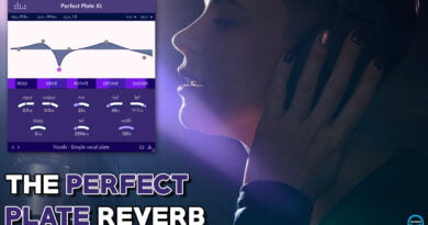 denise PERFECT PLATE XL – The PERFECT Plate Reverb denise PERFECT PLATE XL – The PERFECT Plate Reverb